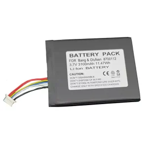 Hangszóró akkumulátor az Bang & Olufsen BeoSound Moment,8700112